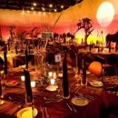 African Theme